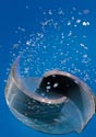 Photo Illustration for Gorman Rupp Industries
